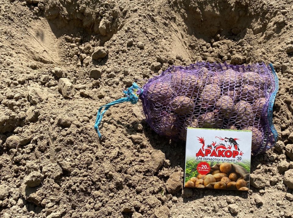 ������ ������ ���������: ��� ��������� ��������� «������» �������� ��������