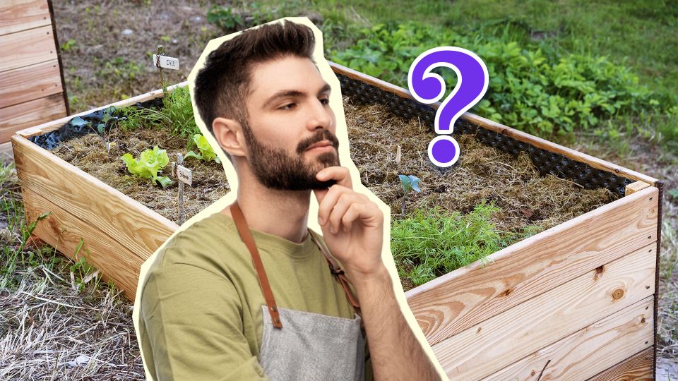 ��� ��� ������ � ������������ ������� ����� �������: �������� ������ �������