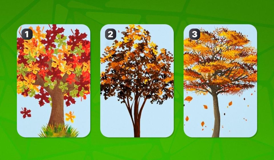 ���� �� ������� �����������: �������, ��� �� ���������� �� ������