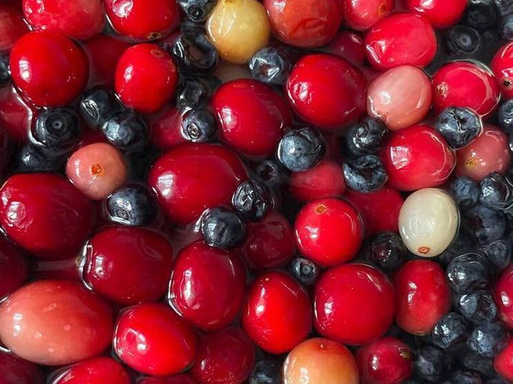 ��� �������� ������: ������ ���������������� ��� �����������