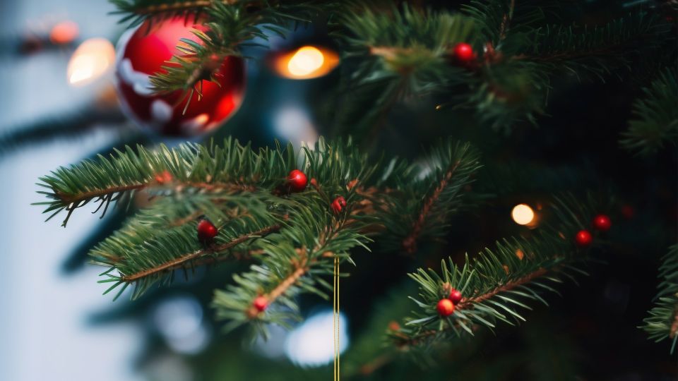 ����� ���� �������� �������� �� ����� ������: ��� ��� ����� �������� � ����