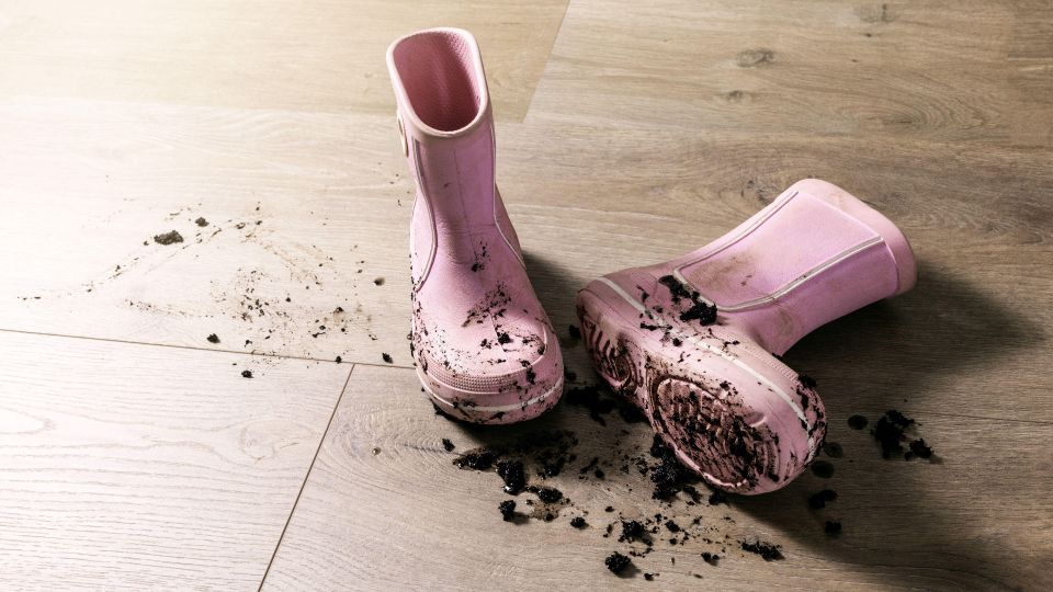 ����� � ����� ������ �� ���������� �� ��������: ������� ���� �������� ���������