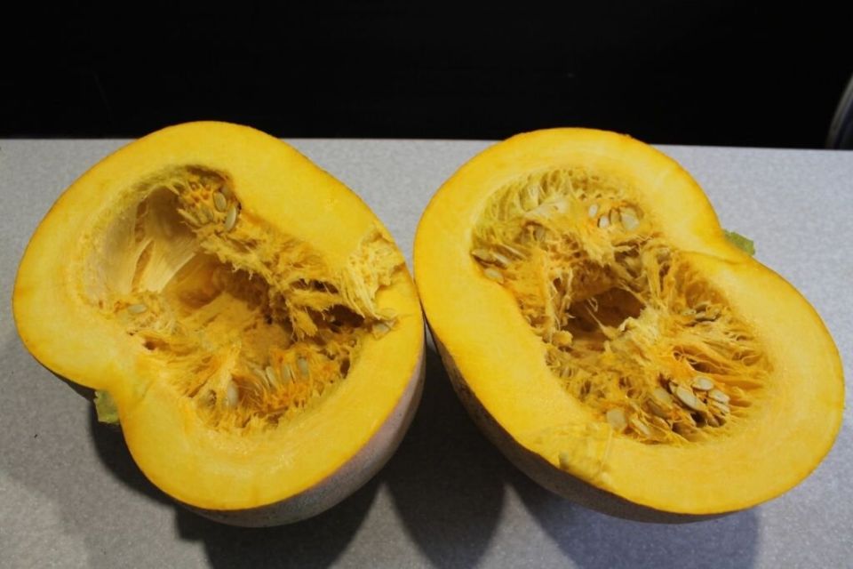 ������� �������� �����: ��� ��������� ������ �� �����