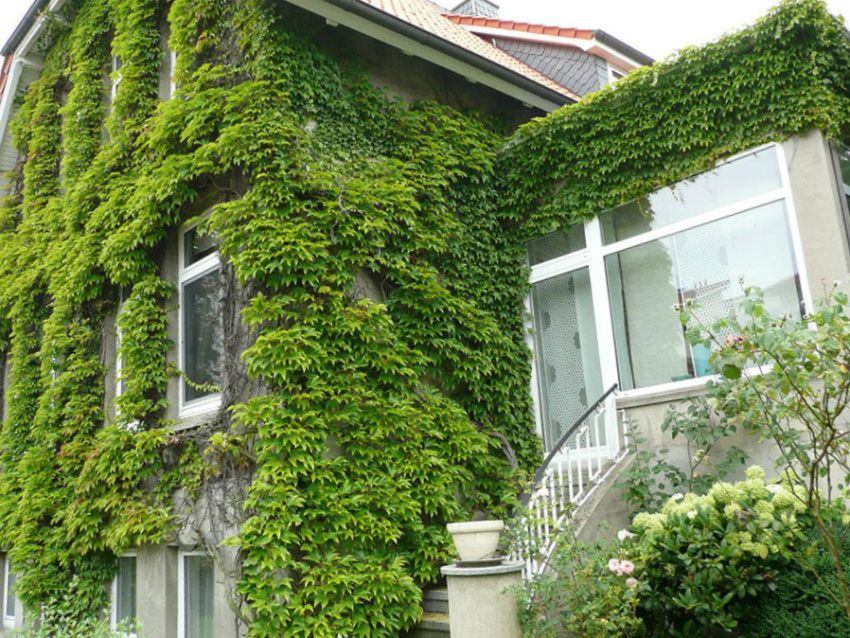 ��� ����� ��������� ���� ���: 10 ����������� ��������