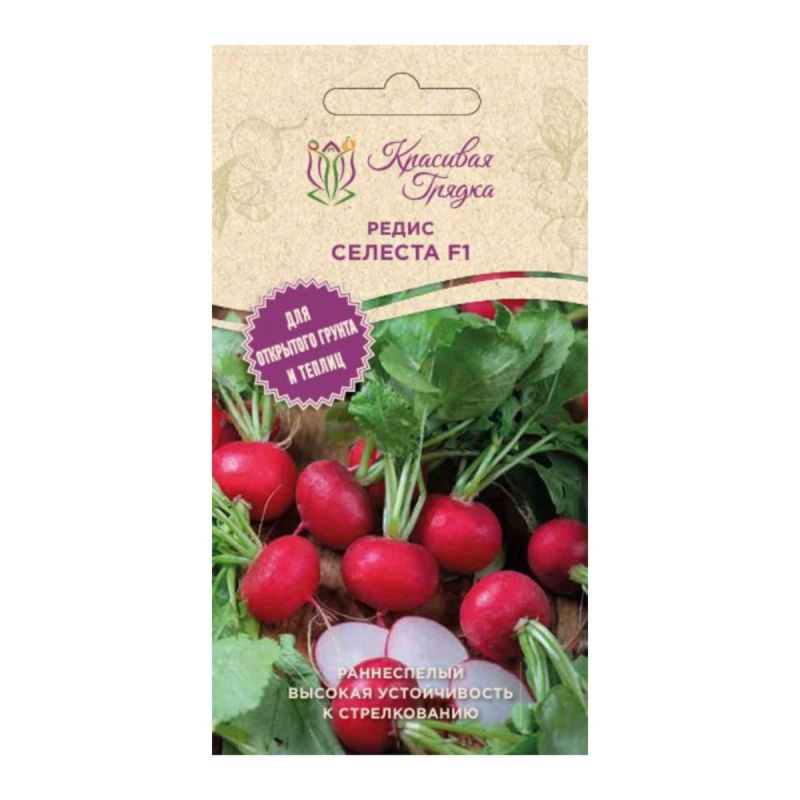 ������� �������� ��� ����������� �����