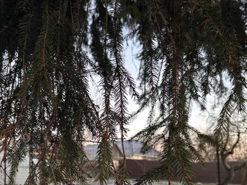 ����� ������ ����� �������: ��� ��������� � 1 ������ 2026 ����