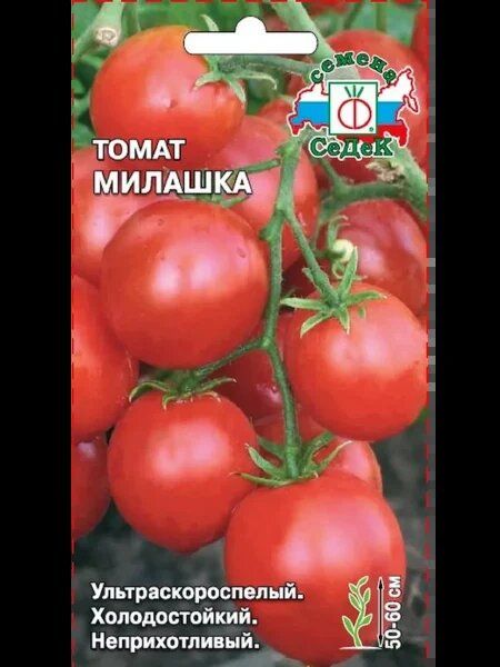 Томат Милашка: сладкие плоды для вашего сада
