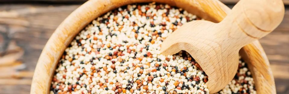 �����: ������� ����������� �������������� ���������