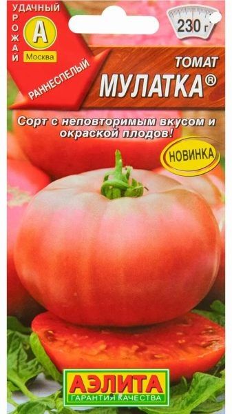 Томат Мулатка: универсальный сорт с шоколадной изюминкой для вашего огорода