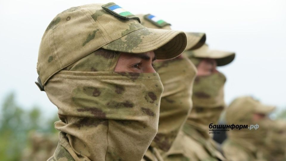 Новые социальные гарантии для участников СВО: Госдума готова рассмотреть законопроект