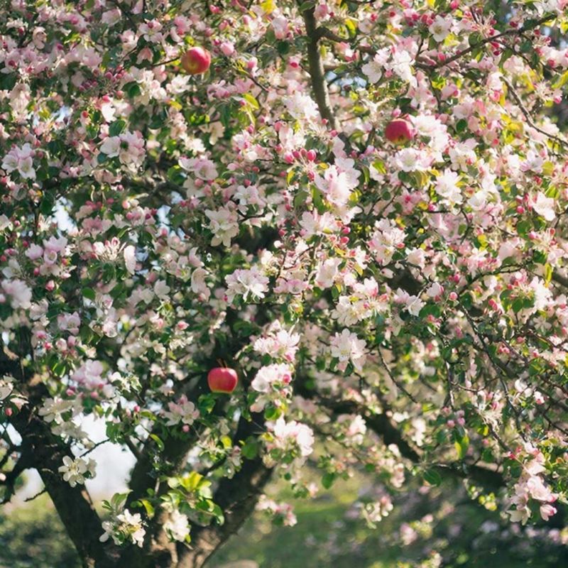 ��� ������� ����� ������ ������: ������� �������