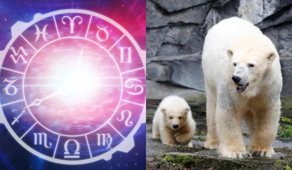 ����������� ������ �� �����: ��� �������� �������� �������� �������