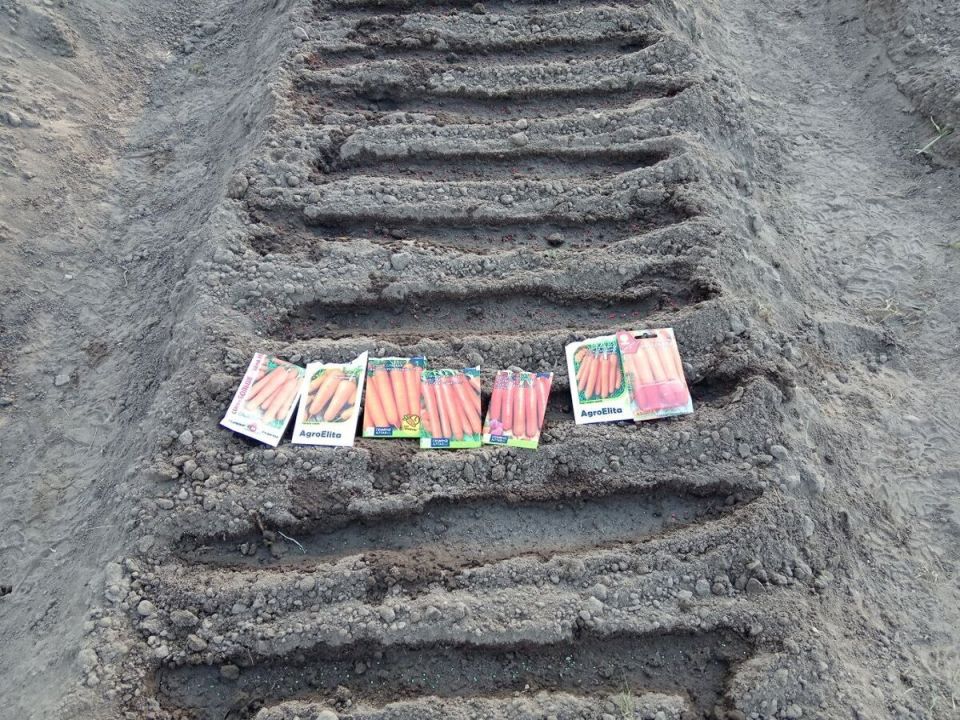 ������ ������� ����� �� ������ � ��� ��� ���������