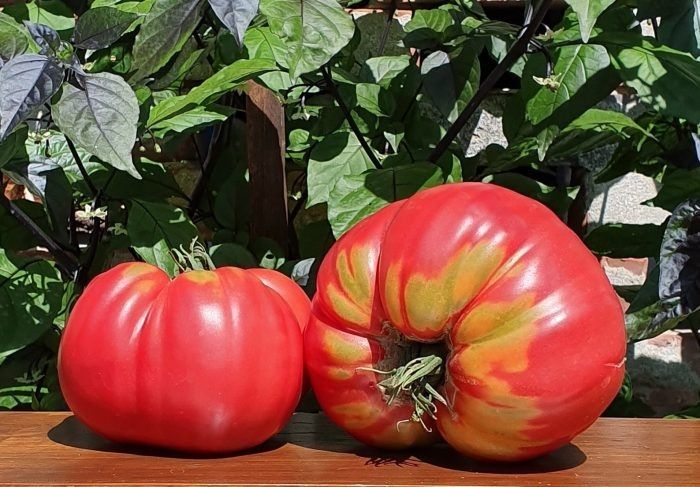 ������� �������������: ������������� ����� � ���������� ������� � ������ ������