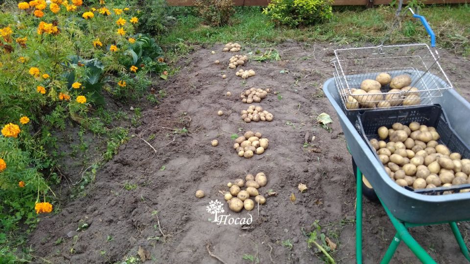 ����� ������ ��������� ����� �������� ������������ �� ����� ������ ������