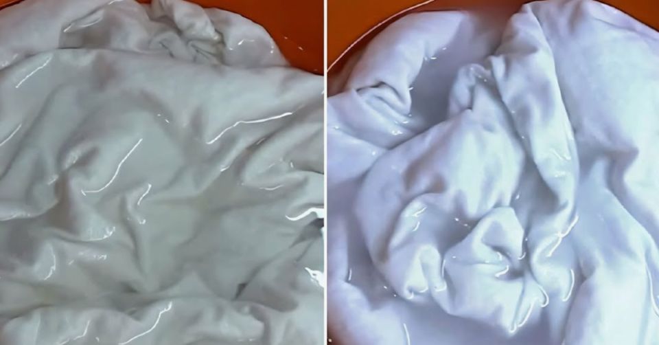 ��������� ������������, ������� �������� ����� ������� � ����������� �������� ��� �������� ������