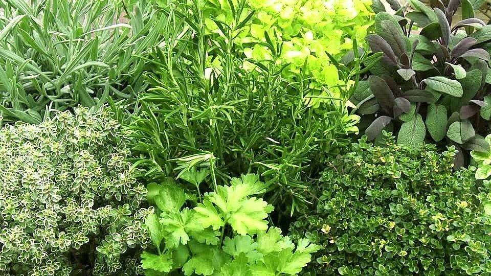 �� ������� �� �����: ��� ������� ������ ����� ��� ������ � ���, ����� ������� ���� �������� ��������