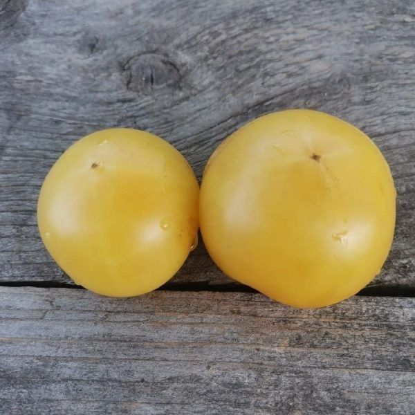 ����� ������: ��������� ���������� ������������ � ����� �� ����� ������