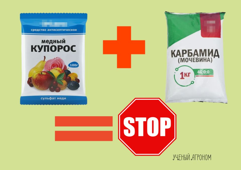Почему смешивать мочевину и купорос опасно для сада