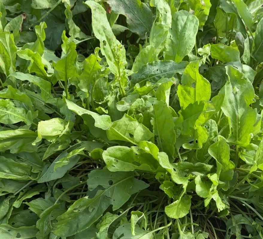 ������ ������ �� ����� ������� ����� ����� ��������� �������������