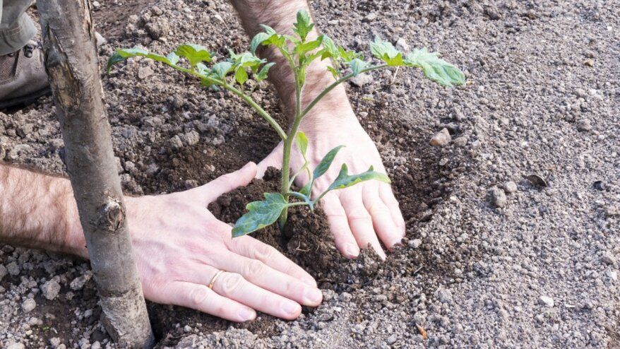 ��� ��������� ������ ��� ������ ������: ������ ����� ��� ������� ��������