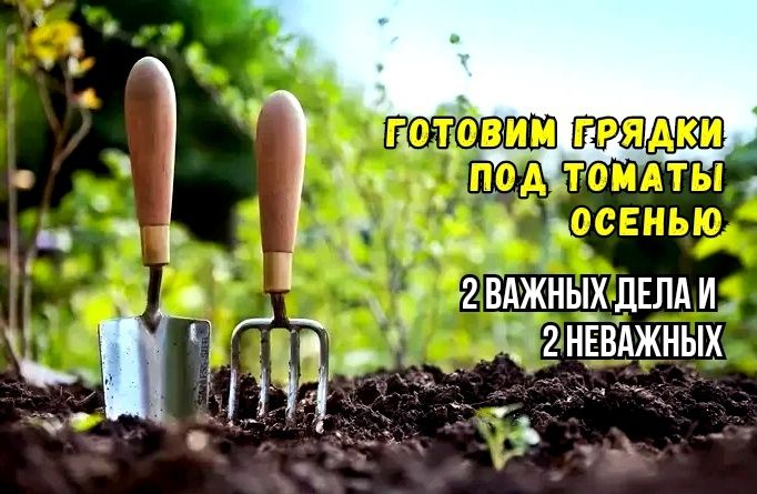 ��� ����������� ������ ��� �������: ��� ������, � ��� ���