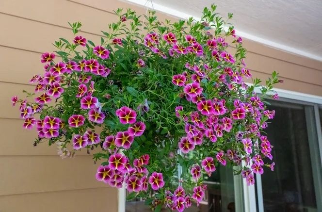 ��� ���������� � ������� �����: ������ �� �����