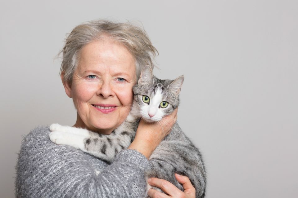 12 ������������ ���������, ��� ���������� ��� � ����� �����