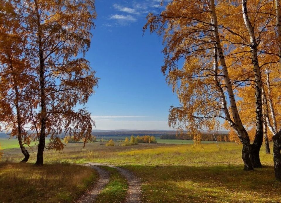 ���������� �����: ��� ��� ������������� � ������ ������ ������