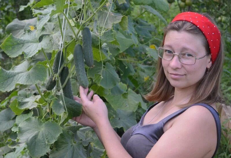 ��� ������� ����������� ������ � �������: ���� � �������� � ���������