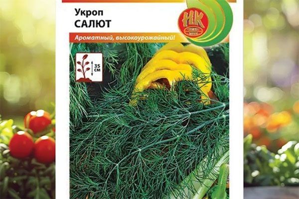 ����� �����: ��� ��������� ��������� ������ ��� ������