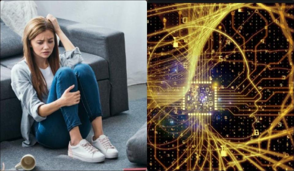 ��������������� ������������: �����, ���������� � �����, ��� � ������, ����� ������� ����� ����