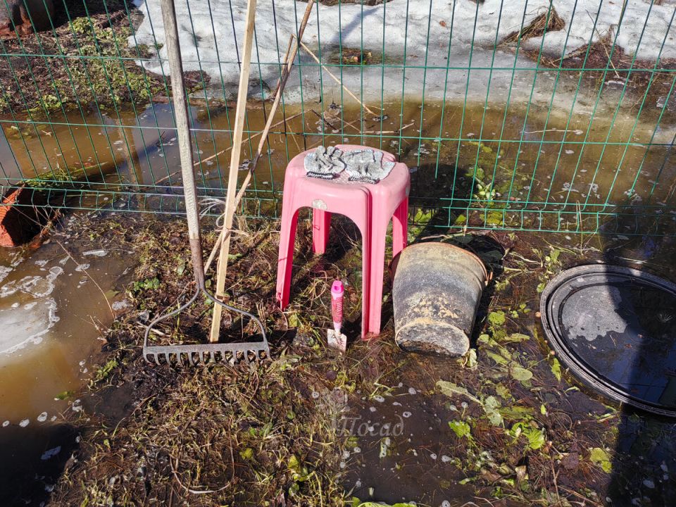 ����������� ������� �� �������: �������� ����������