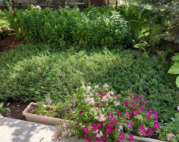 ��� ��������� �������������� ������ �� ������: ������� � ������