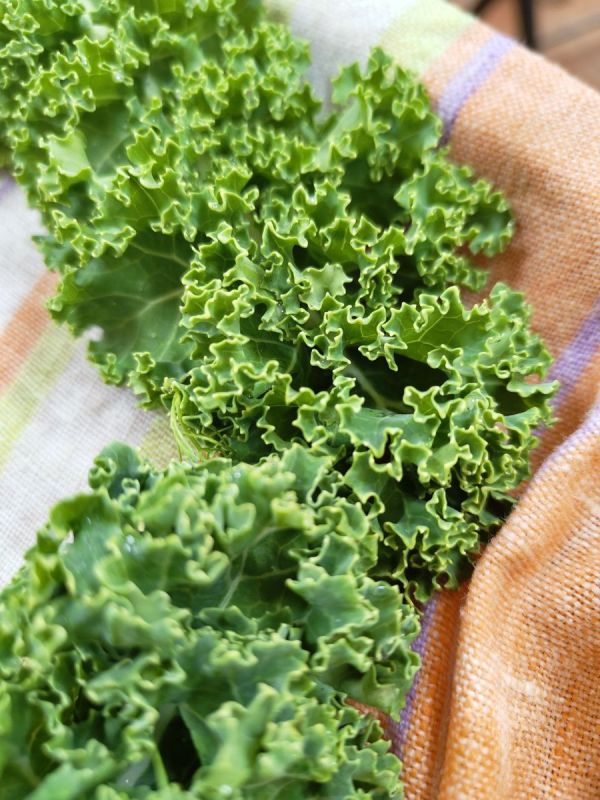 ���������� ����������� � ����������