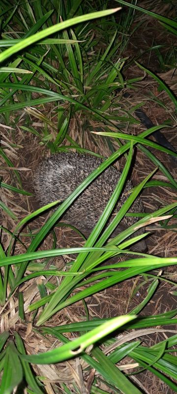 �������� ������ ������: �������� �������� � ��������