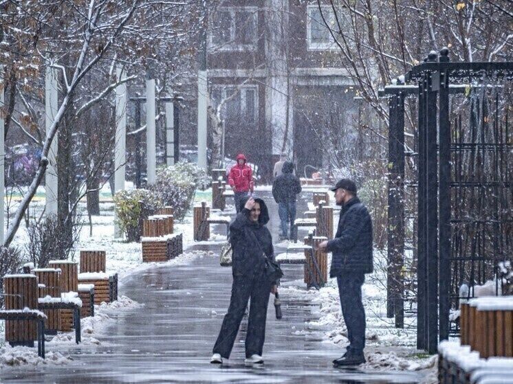 ��������� ����� �������� ���� ��� ��������: ������ ������ ������ ������