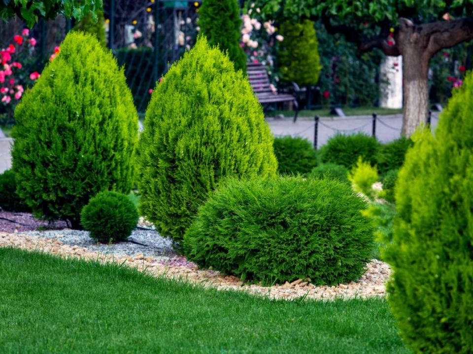 ��� ������� ����� ������� � ������ ��� ���������: ������� �������