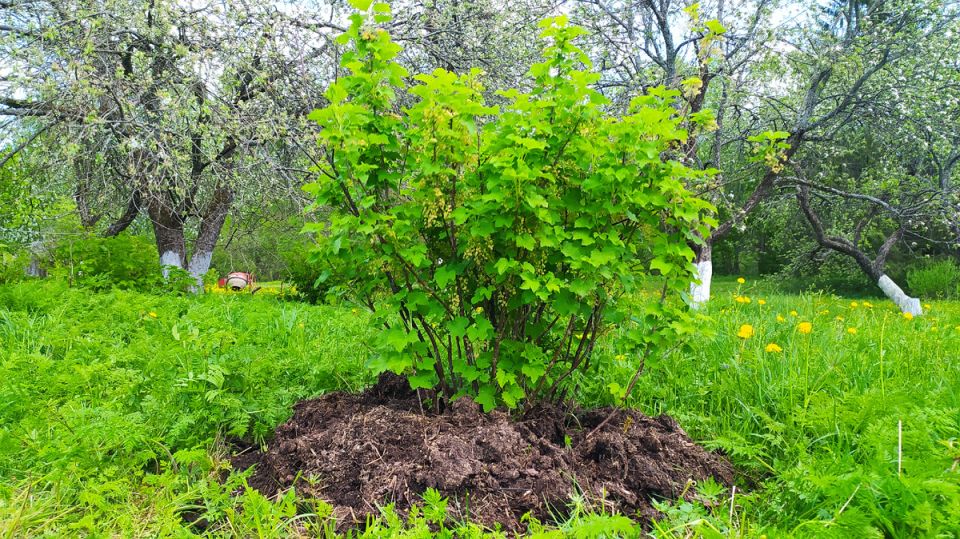 ��� ��������� ������ ��� ������� ������ ���������