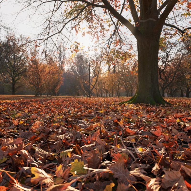 ��������� �� �������: ��� ���������� ������� ������ � ������� ����� �� �����