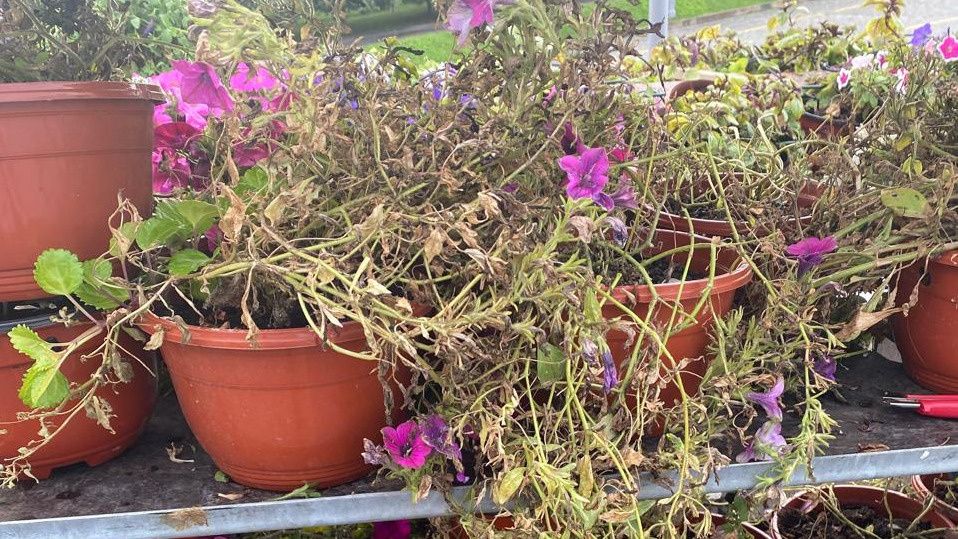 ������������� �������������� �������: ��� ������� ��� ����, ����� �������� ������