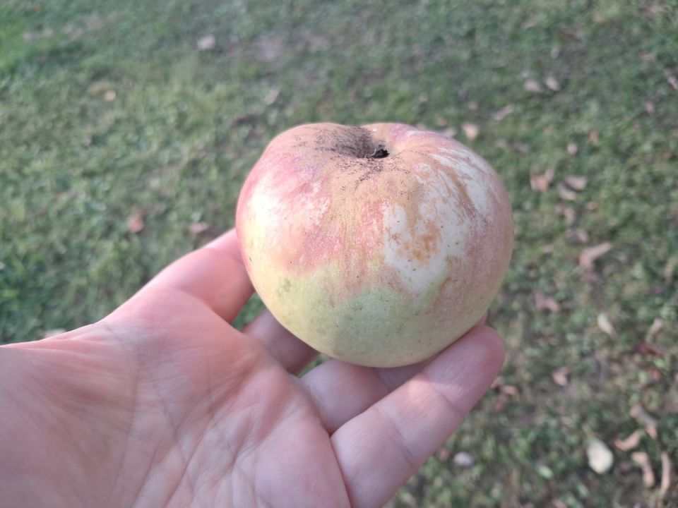 ������� ��������� ������� ����� �� ������� � ������ ������