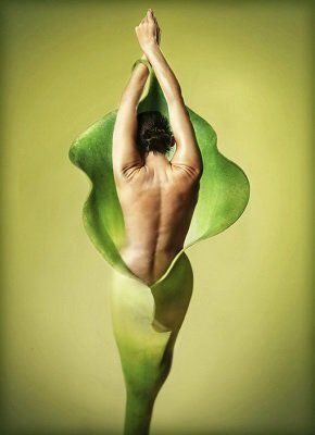 ��� ��������� ��������� ���� � ����: ������� � ������