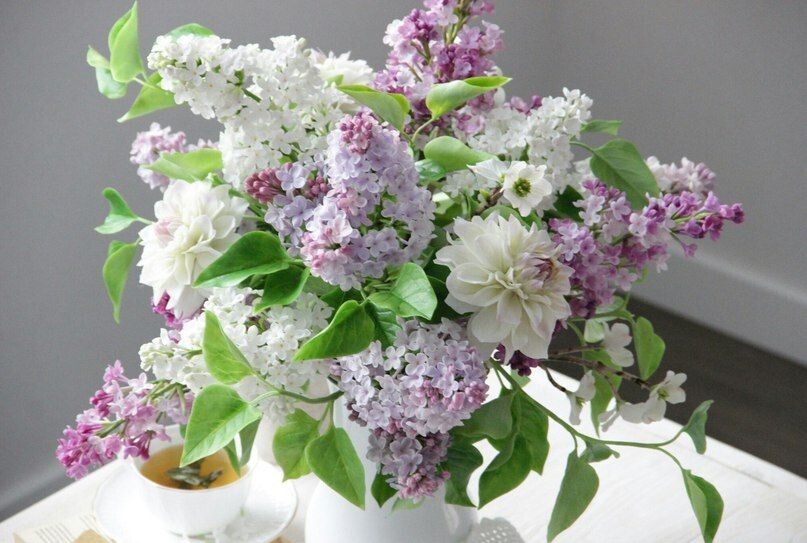 ������� ��������, ������� ������ ��� � ������ ������������