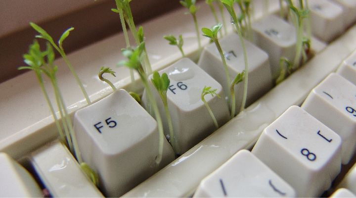 Эффективные методы чистки клавиатуры в домашних условиях