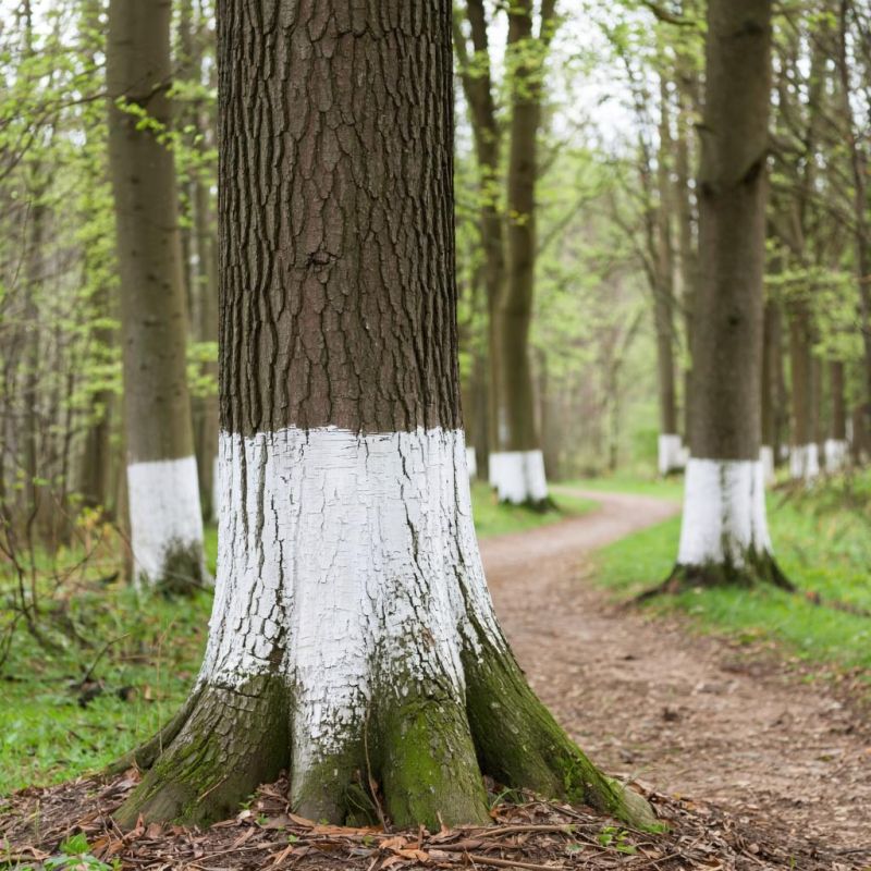 ������� ��������: ��� �������� ����� ��������� �������