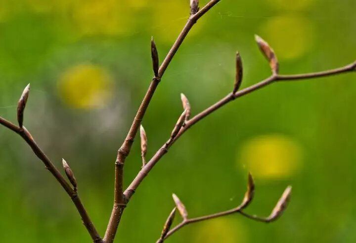 ��� ������� � ����: ������ ��������� � 26 ������ �� 2 ���