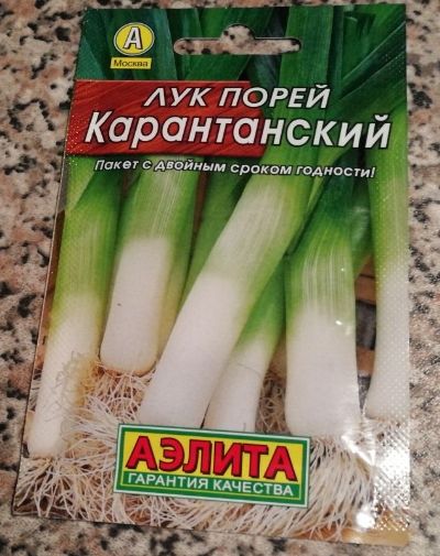 ������ ����� ����������� ��������� ���-�����: ���� � �����