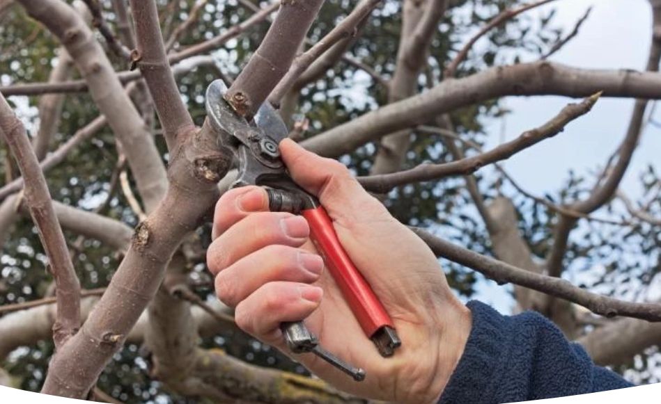 �������� ����������: ��� ��������� �������� ������