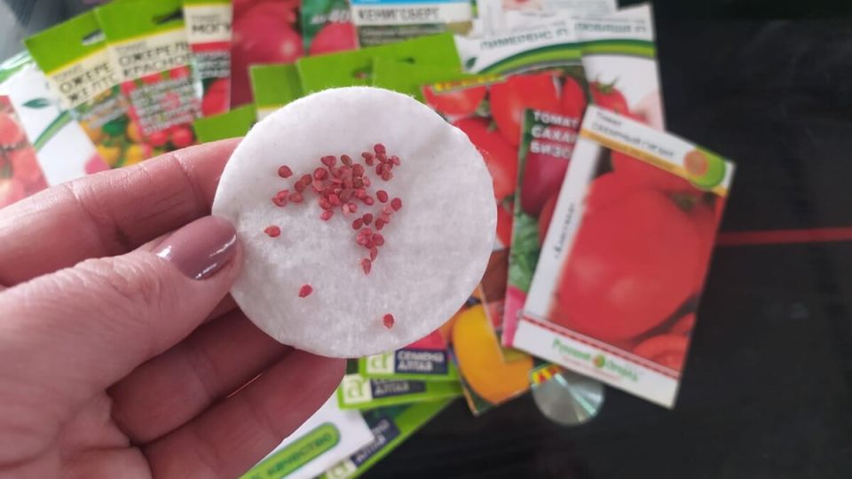 ������ � ������ �������: ������� ��������� ������